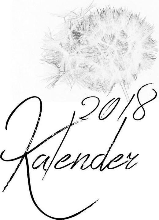 Kalender 2018 (Harter Einband)