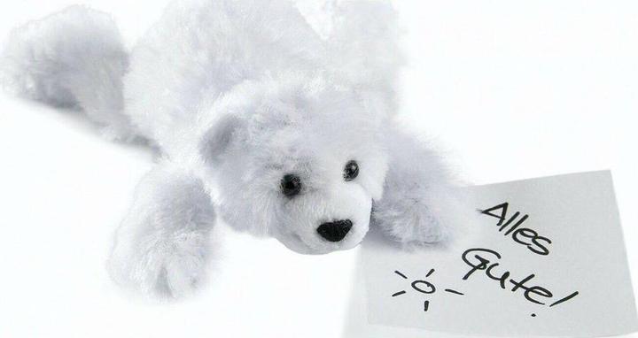Actual product image Schaffer Magnetics polar bear Knut cuddle (4 cm)