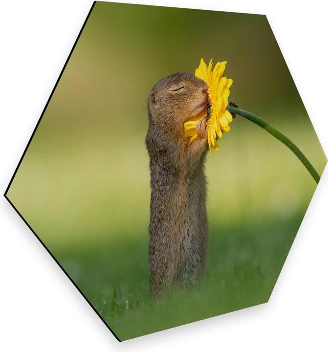 Actual product image Trenddeko van Duijn - Gopher smells flower (75 x 65 cm)