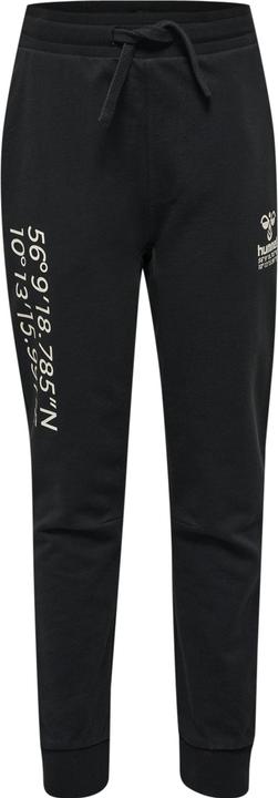 Image du produit hummel Hmlglobal Pants (104)