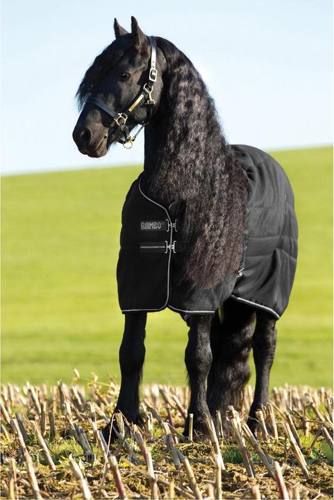 Horseware couverture d'écurie pour poney rambo 100g