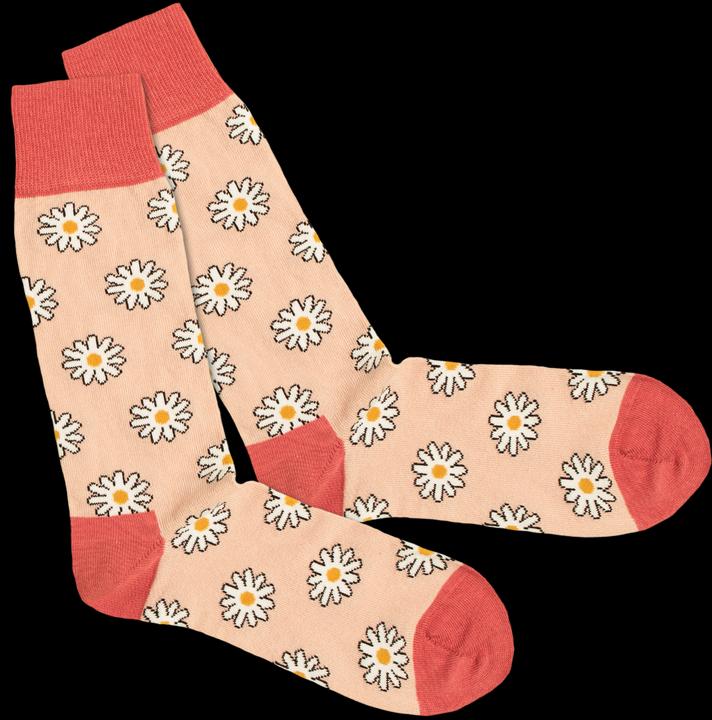 DillySocks Kiwi Flower (3er Pack)
