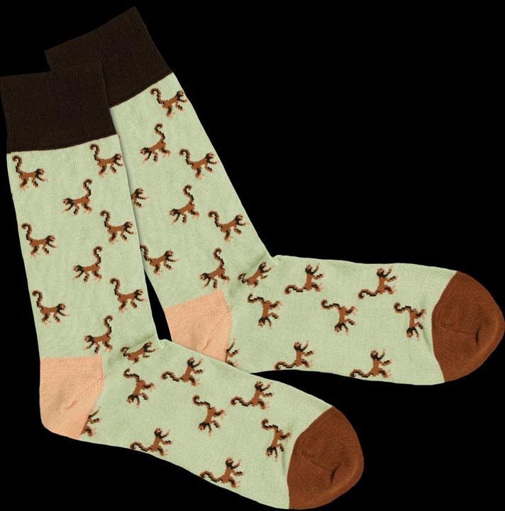 DillySocks Monkey Park (Einzelpack)