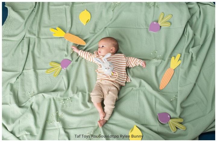 Actual product image Taf Toys Hare Rylee
