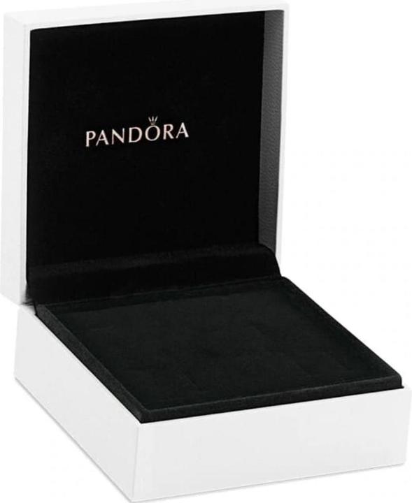 Actual product image Pandora Heart necklace (Silver 925, 45 cm)