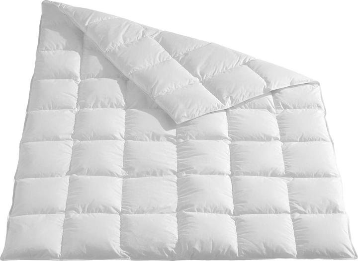 Produktbild Traumschlaf Polar (620 g, 160 x 210 cm)