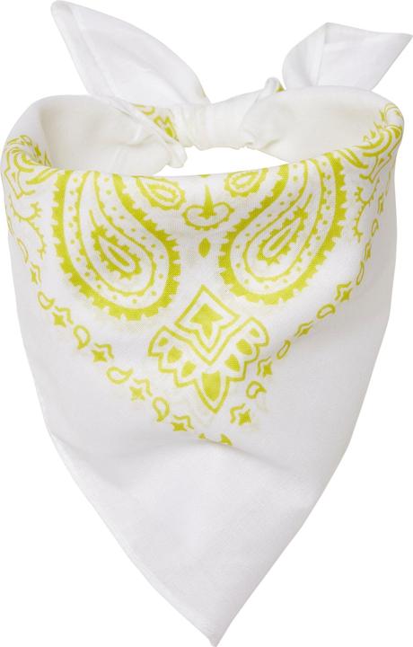 Masterdis Bandana