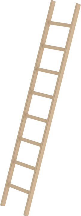 Image du produit Munk Échelle simple en bois (Échelle simple, 248 cm)