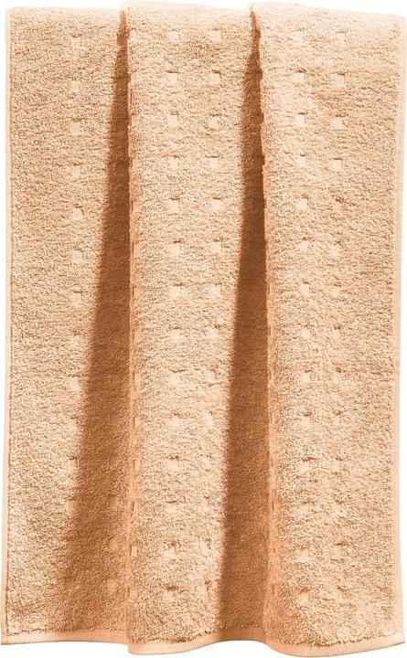 Sand apricot