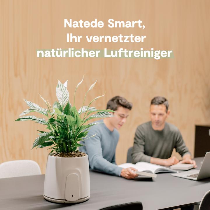 Produktbild Vitesy Natede Smart (20 m²)
