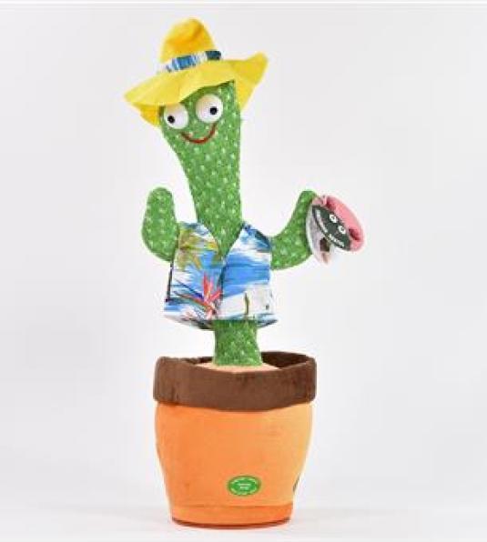 Actual product image Kögler Dancing cactus (34 cm)