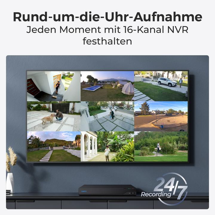 Image du produit Reolink NVS16 (Enregistreur vidéo en réseau (NVR))