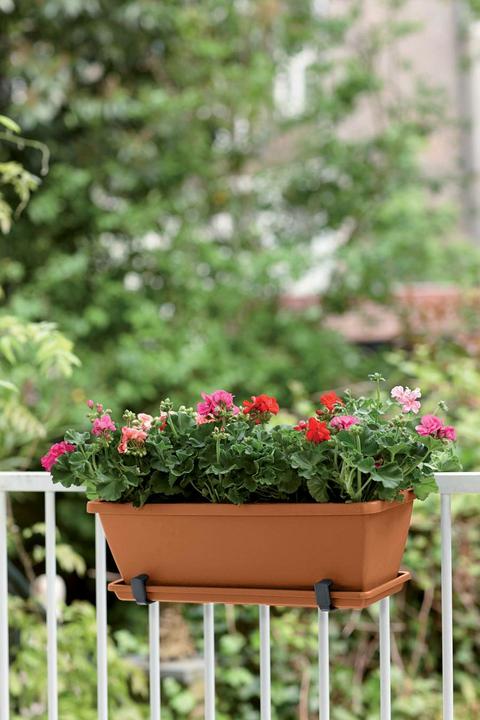 Produktbild Elho Barcelona (20 cm)