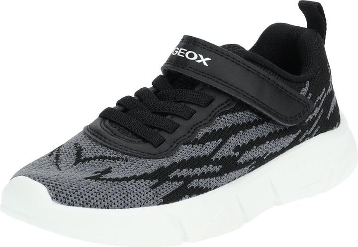 Geox Sneaker (30)