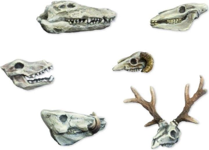 Image du produit Tabletop-Art Accessoires Animals Skulls Set 6 pièces (Matières plastiques)