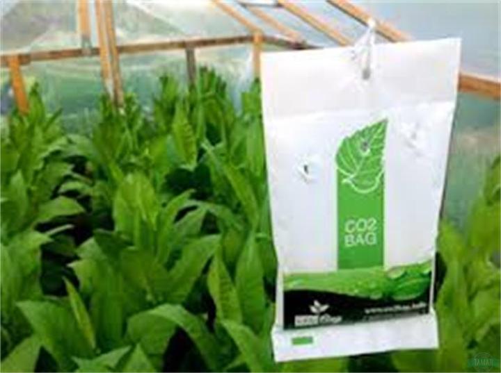 Produktbild CO2 Bag The Bag Grower