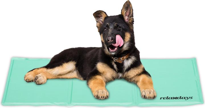 Immagine prodotto Relaxdays Tappetino refrigerante, cane (Cane)