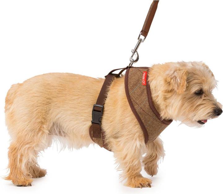 Actual product image House Of Paws Dog harness MemoryFoam Tweed (S, Dog, General)