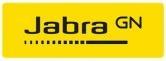 Produktbild Jabra EVOLVE 65 TE LINK 390A MS (Kabellos, USB-A)