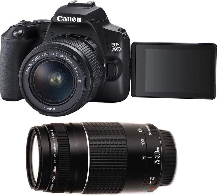 Produktbild Canon EOS 250D Kit (24.10 Mpx, APS-C / DX)