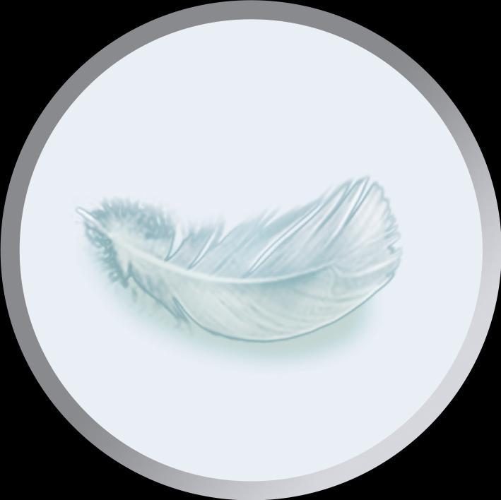 Image du produit Remington Pro-Air