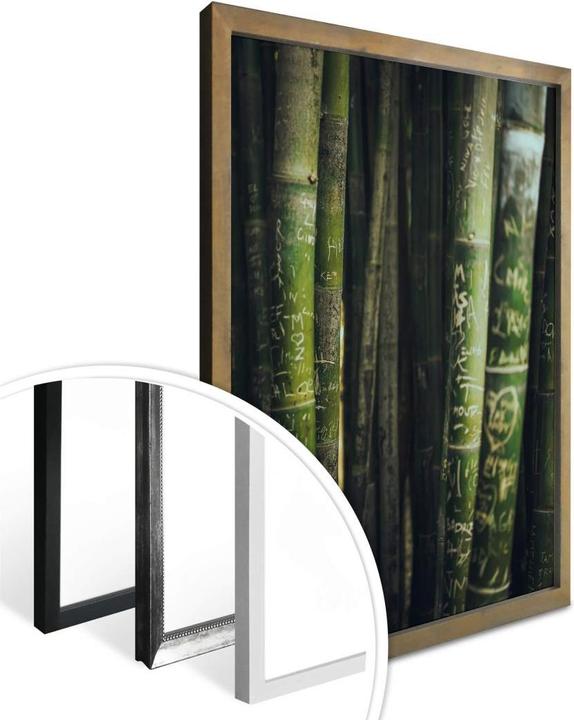 Produktbild Trenddeko Grüner Bambus (40 x 50 cm)