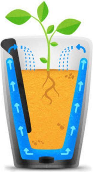 Image du produit Parrot Flower Power Pot – capteur pour plante