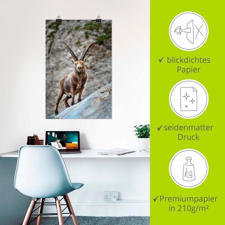 Actual product image Artland Ibex with large horns U3VG (40 x 60 cm)