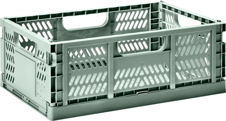 Image du produit 3 Sprouts Caisse pliante grande verte (43 x 29 x 16 cm)