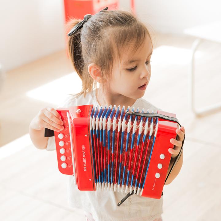 Actual product image New Classic Toys Accordion