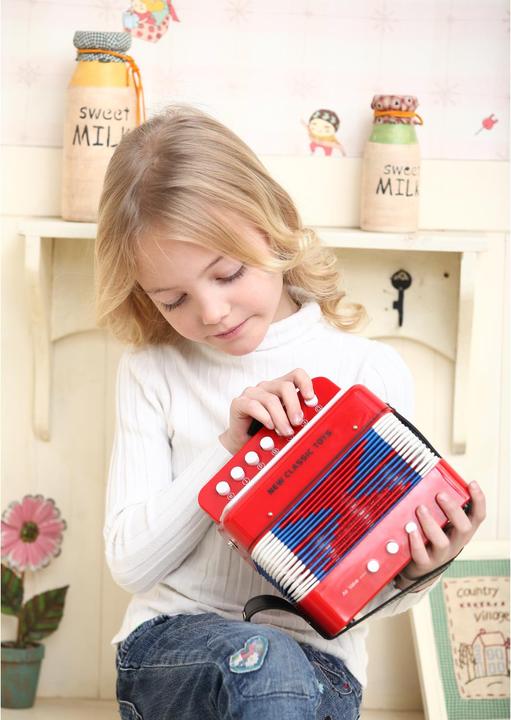 Actual product image New Classic Toys Accordion