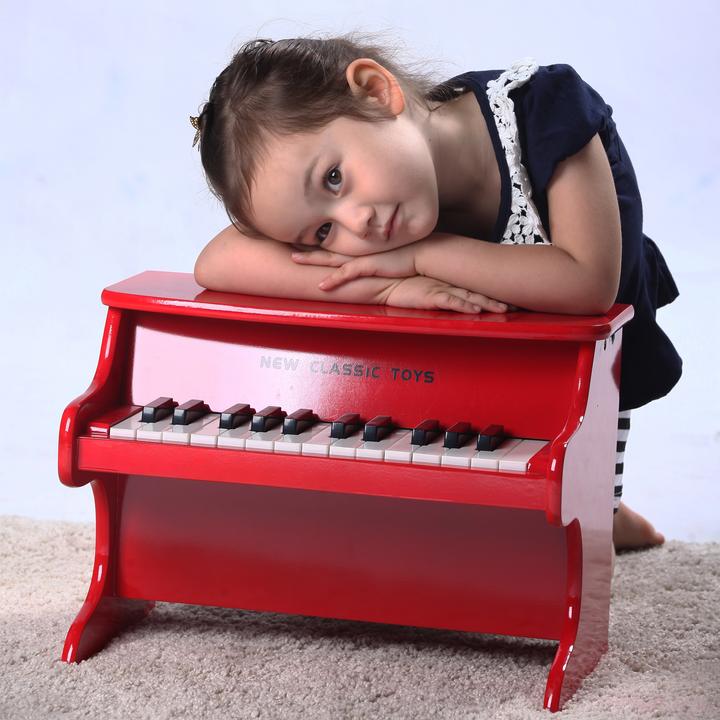 Actual product image New Classic Toys Electric piano
