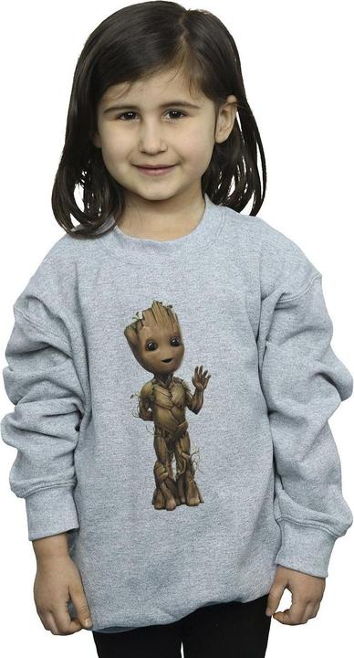 Produktbild I Am Groot Wave Pose Sweatshirt Mädchen (152, 158)