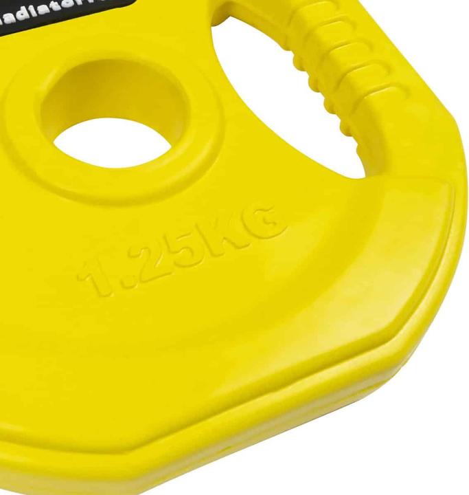 Image du produit Gladiatorfit Disque de poids avec poignées (1 x 1.25 kg)