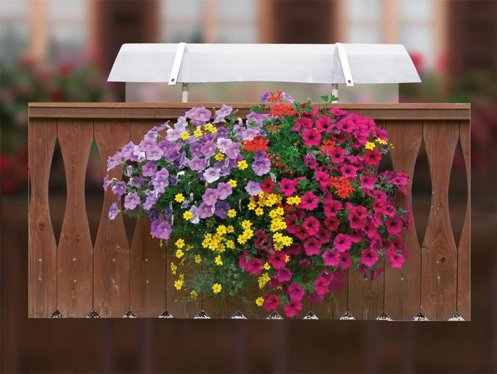 Immagine prodotto Neogard Tettoia Neoflor Balconia