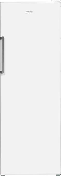 Actual product image Exquisit GS280-H-040E Freezer Freestanding E (Stand-alone, 242 l)