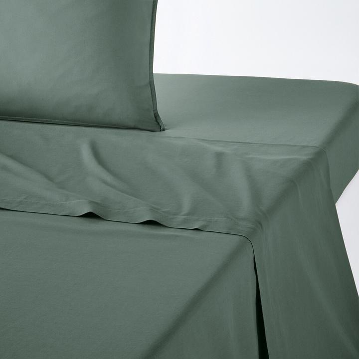 Eucalyptus vert