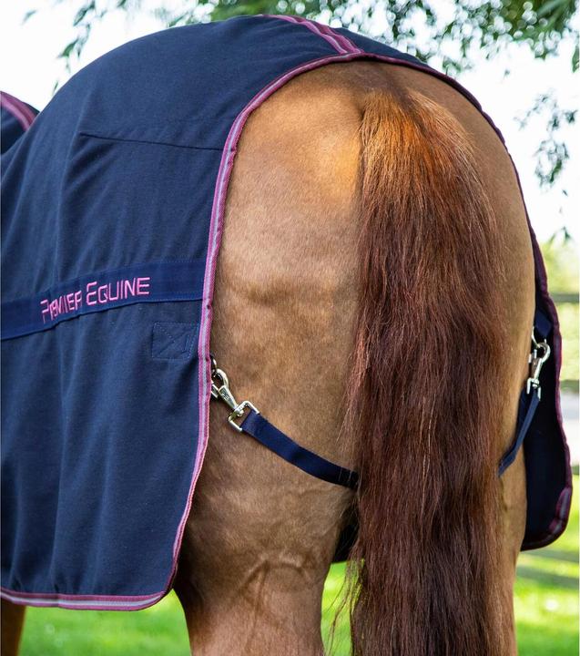 Actual product image Premier Equine Barrasso 450 g (213 cm)