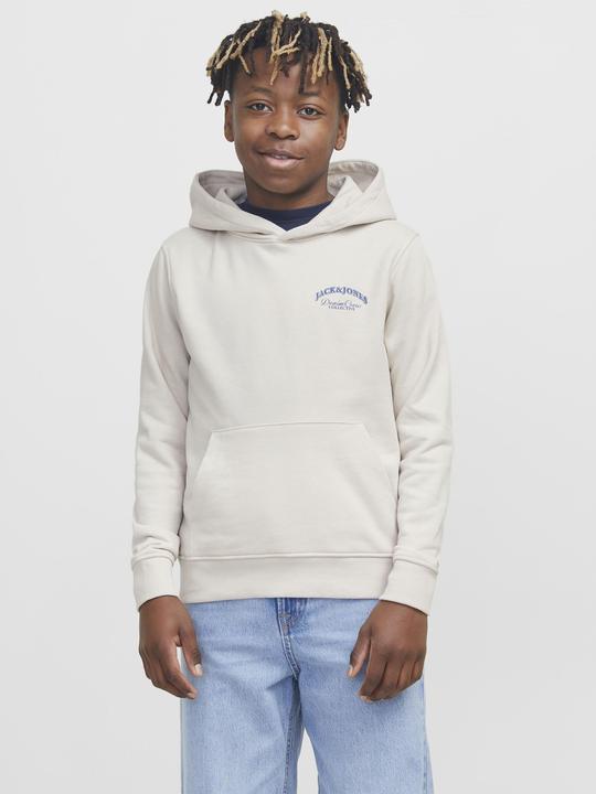 Produktbild Jack & Jones Jjebrandes Backp Relaxed Sweat H Sn Jnr (176)