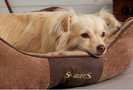 Image du produit Scruffs Chester Lit douillet chocolat (Chien)