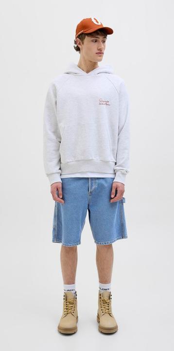 Actual product image Jack & Jones Baggy fit Baggy Fit Shorts Baggy Fit Shorts (L)