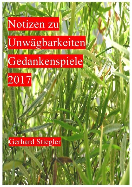 Produktbild Notizen zu Unwägbarkeiten (Gerhard Stiegler, 2018)