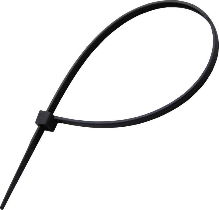 Image du produit Kibernetik KS01 (Serre-câbles en plastique, 200 mm, 100 pcs)