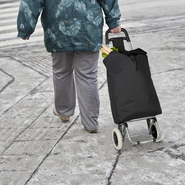 Immagine prodotto Relaxdays Carrello della spesa