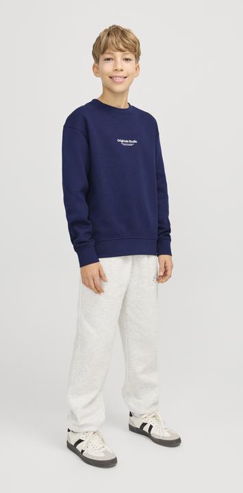 Immagine prodotto Jack & Jones Jorvesterbro Sweat Crew Neck Noos Jnr (140)