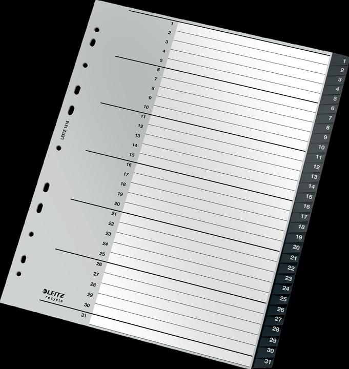 Actual product image Leitz Register Recycle 1-31