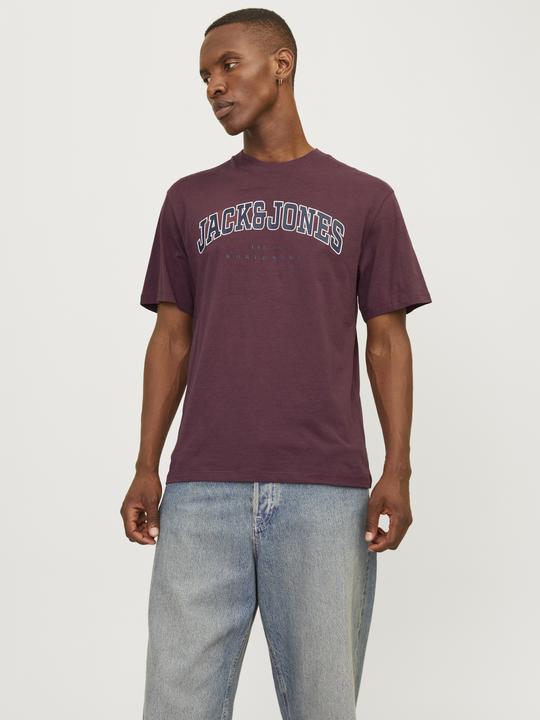 Actual product image Jack & Jones Jjecaleb Varsity Tee Ss O-Neck Noos (XS)