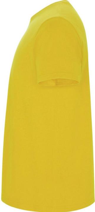 Actual product image Alpinia Mens Stafford T-Shirt (3XL)