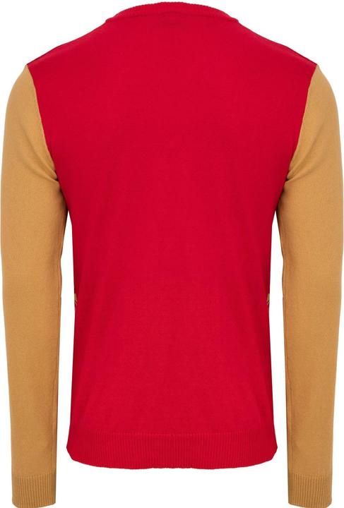 Actual product image Foco NFL Ugly Sweater XMAS Sweater San Francisco 49ers - L (L)