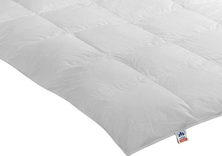 Produktbild Irisette Daunenkassettendecke Nora warm (720 g, 135 x 200 cm)